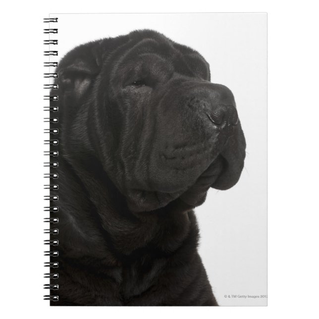 Caderno Espiral Fechamento de Shar Pei (1 ano) (Frente)
