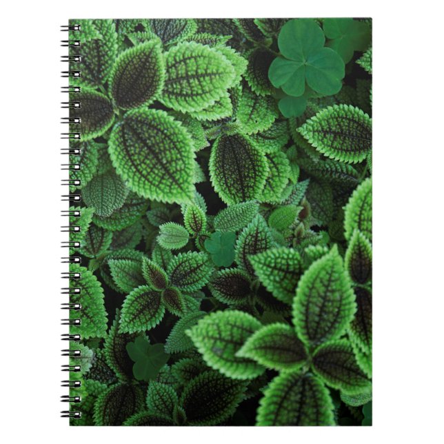 CADERNO ESPIRAL FECHAR A FOTO DA PLANTA VERDE (Frente)