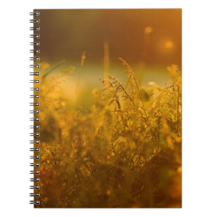 Caderno Espiral Fechar a silhueta de um campo de grama por sunseta