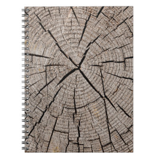 Caderno Espiral Fechar a textura de fundo da cinza de velhos agent