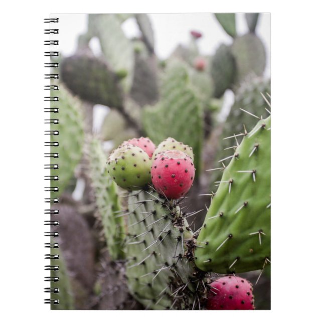 Caderno Espiral Feche O Cactus De Pear (Frente)