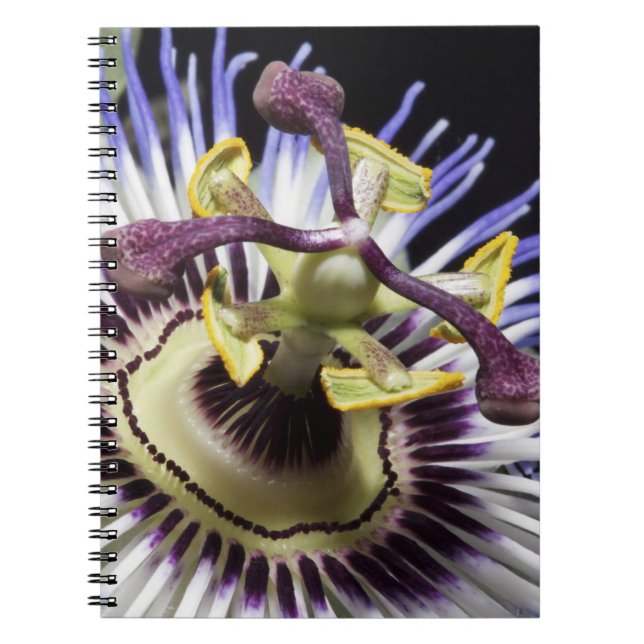 Caderno Espiral Fecho de Passionflower (MR) (Frente)