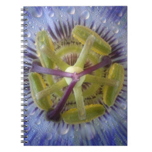 Caderno Espiral Fecho do maracujá. Crédito como: Don