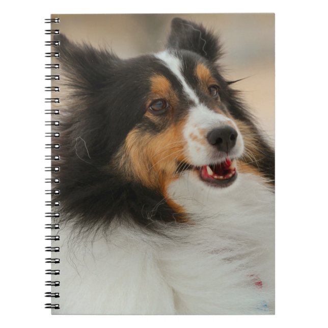 Caderno Espiral Feliz Shelty (Frente)