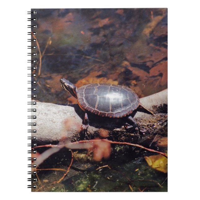 Caderno Espiral Feliz Tartaruga (Frente)
