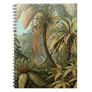 Caderno Espiral Ferns Palm Tree Arte Botânica Antica