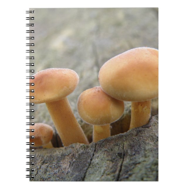 Caderno Espiral Ferramentas em um notebook de tronco em árvore (Frente)