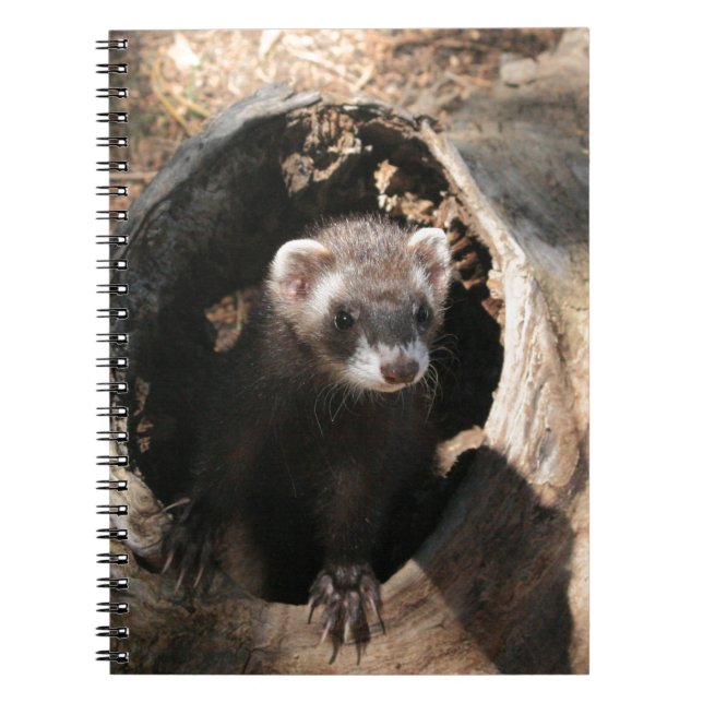 Caderno Espiral Ferret Face (Frente)