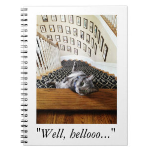 Caderno Espiral Ferris Mewler está batendo em você