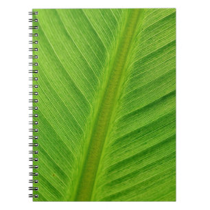 Caderno Espiral Fibras de banana-folha de folha