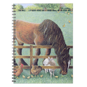 Caderno Espiral Fiel velho