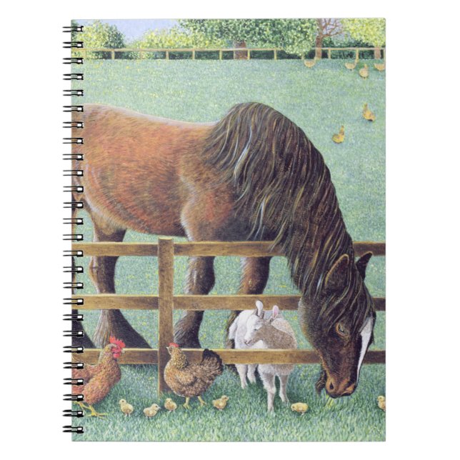 Caderno Espiral Fiel velho (Frente)