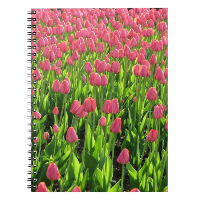 Caderno Espiral Field of Pink Tulips (Frente)