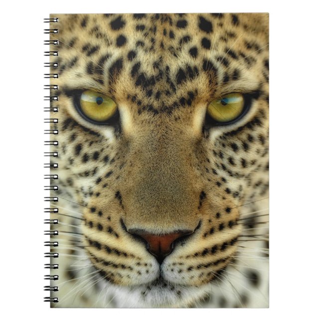 Caderno Espiral Fierce Leopard (Frente)