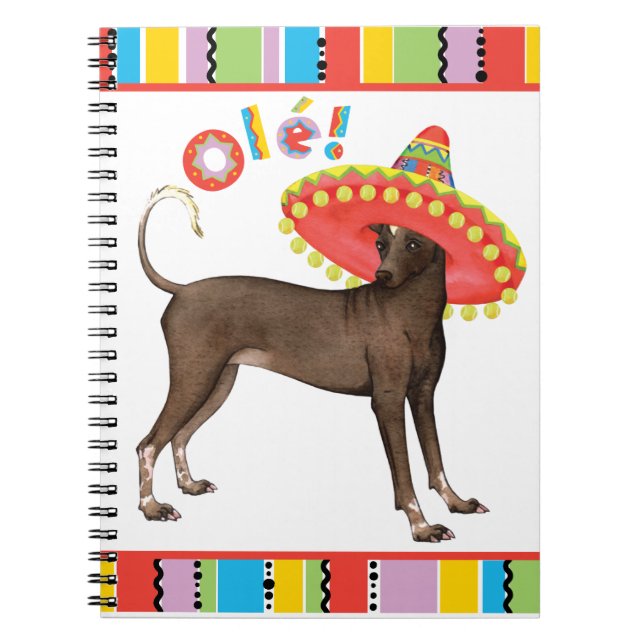 Caderno Espiral Fiesta Xolo (Frente)