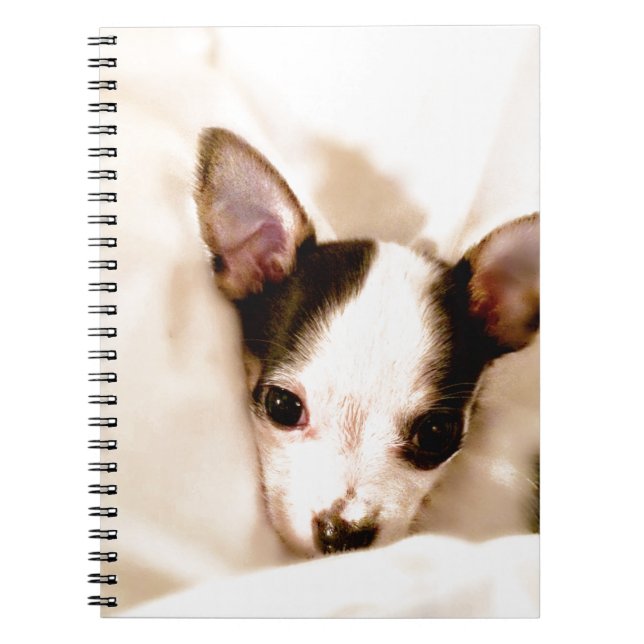 Caderno Espiral Filhote de cachorro (Frente)