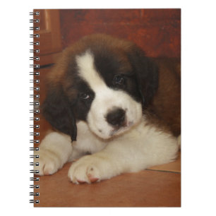 Caderno Espiral Filhote de cachorro adorável e doce de St Bernard