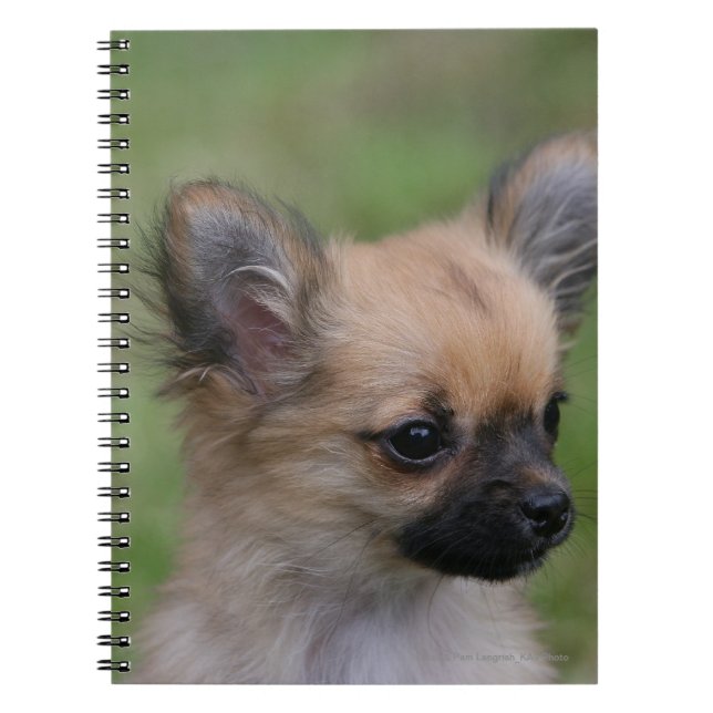 Caderno Espiral Filhote de cachorro de cabelos compridos da (Frente)