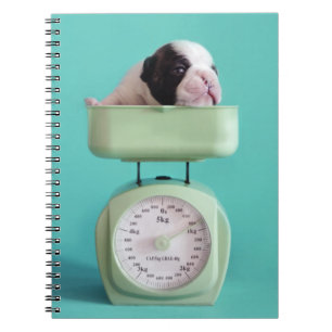 Caderno Espiral Filhote de cachorro do buldogue francês