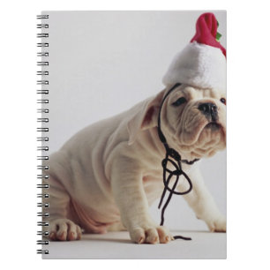 Caderno Espiral Filhote de cachorro do buldogue que veste o chapé
