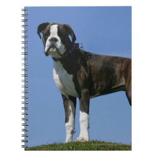 Caderno Espiral Filhote de cachorro do pugilista do bebê de três