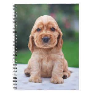 Caderno Espiral Filhote de cachorro do Spaniel de Coker