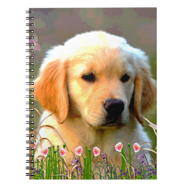 Caderno Espiral Filhote de cachorro dourado de Austin Labrador (Frente)