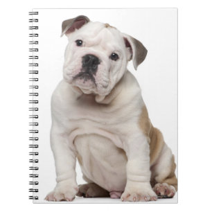 Caderno Espiral Filhote de cachorro inglês do buldogue (2 meses