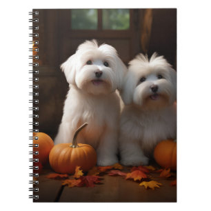 Caderno Espiral Filhote de Coton De Tulear Delícia de Outono Abóbo