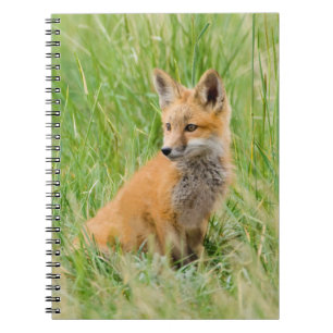 Caderno Espiral Filhote de Raposa Vermelha na grama perto da toca