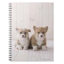 Caderno Espiral Filhotes de cachorro do Corgi de Galês