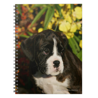 Caderno Espiral Filhotes de cachorro do pugilista