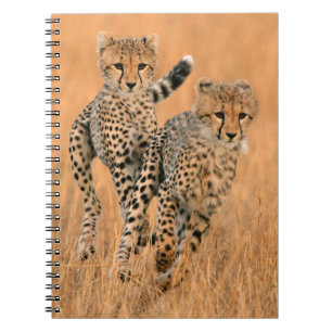 Caderno Espiral Filhotes de Guepardos (Acinonyx Jubatus) Correndo