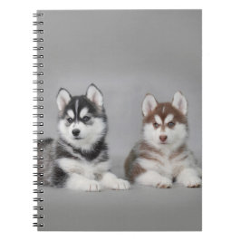 Caderno Espiral filhotes de husky siberiano