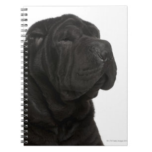 Caderno Espiral Fim-acima de Shar Pei (bebê de um ano)