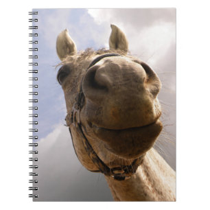 Caderno Espiral Fim cinzento engraçado do nariz do cavalo acima
