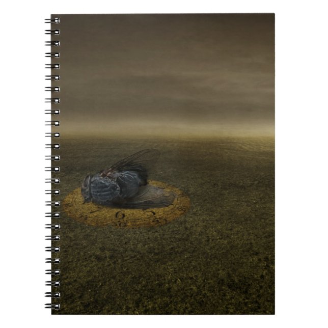 Caderno Espiral Fim de um objetivo 2013 (Frente)