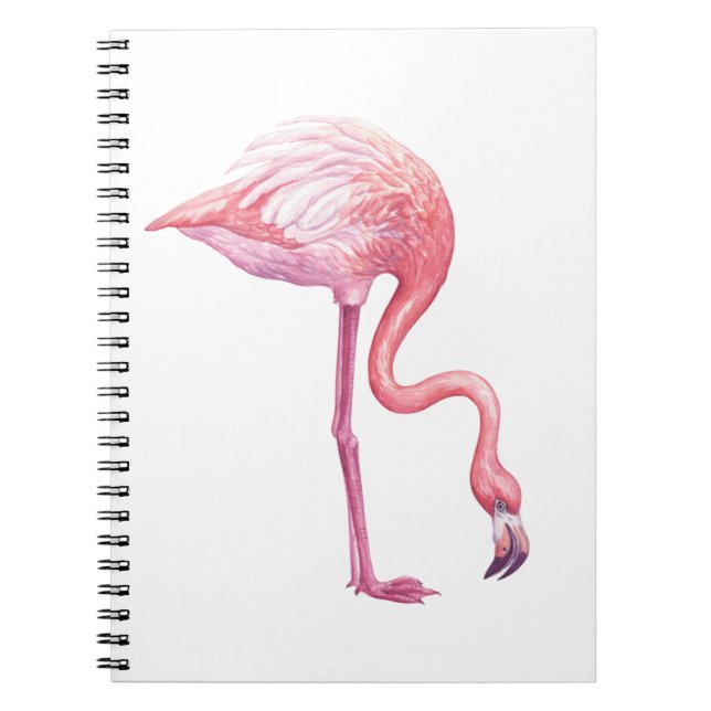 Caderno Espiral Flamingo (Frente)