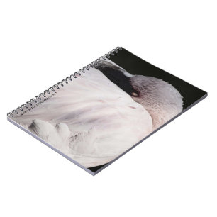 Caderno Espiral Flamingo