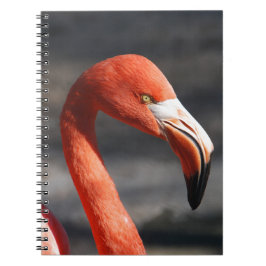 Caderno Espiral Flamingo