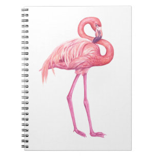 Caderno Espiral Flamingo 2