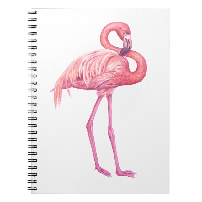 Caderno Espiral Flamingo 2 (Frente)