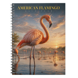 Caderno Espiral Flamingo Americano Laguna Costeira ANIMAIS