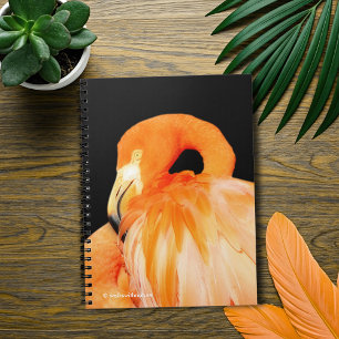 Caderno Espiral Flamingo no Sol de Verão