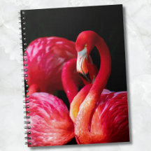 Flamingo Rosa Tropical Moderno