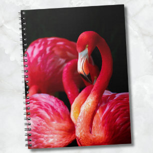 Caderno Espiral Flamingo Rosa Tropical Moderno