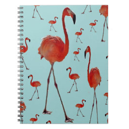 Caderno Espiral Flamingoes Andando