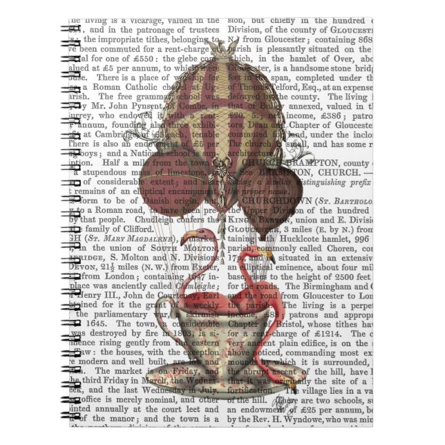 Caderno Espiral Flamingos em Teacup (Frente)