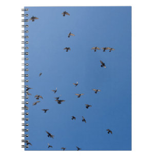 Caderno Espiral Flock of Birds Flying in Clear Blue Sky with Parag