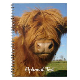 Caderno Espiral Floffy Scottish Highland Cow - Blue Sky